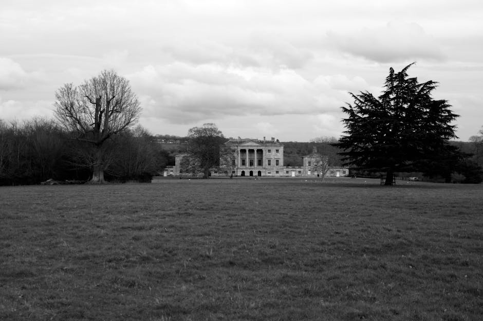 A park scene featuring a large, leafless tree with twisted, sprawling branches standing prominently in the foreground, surrounded by lush green grass. To the right of the tree, there is a white and gr